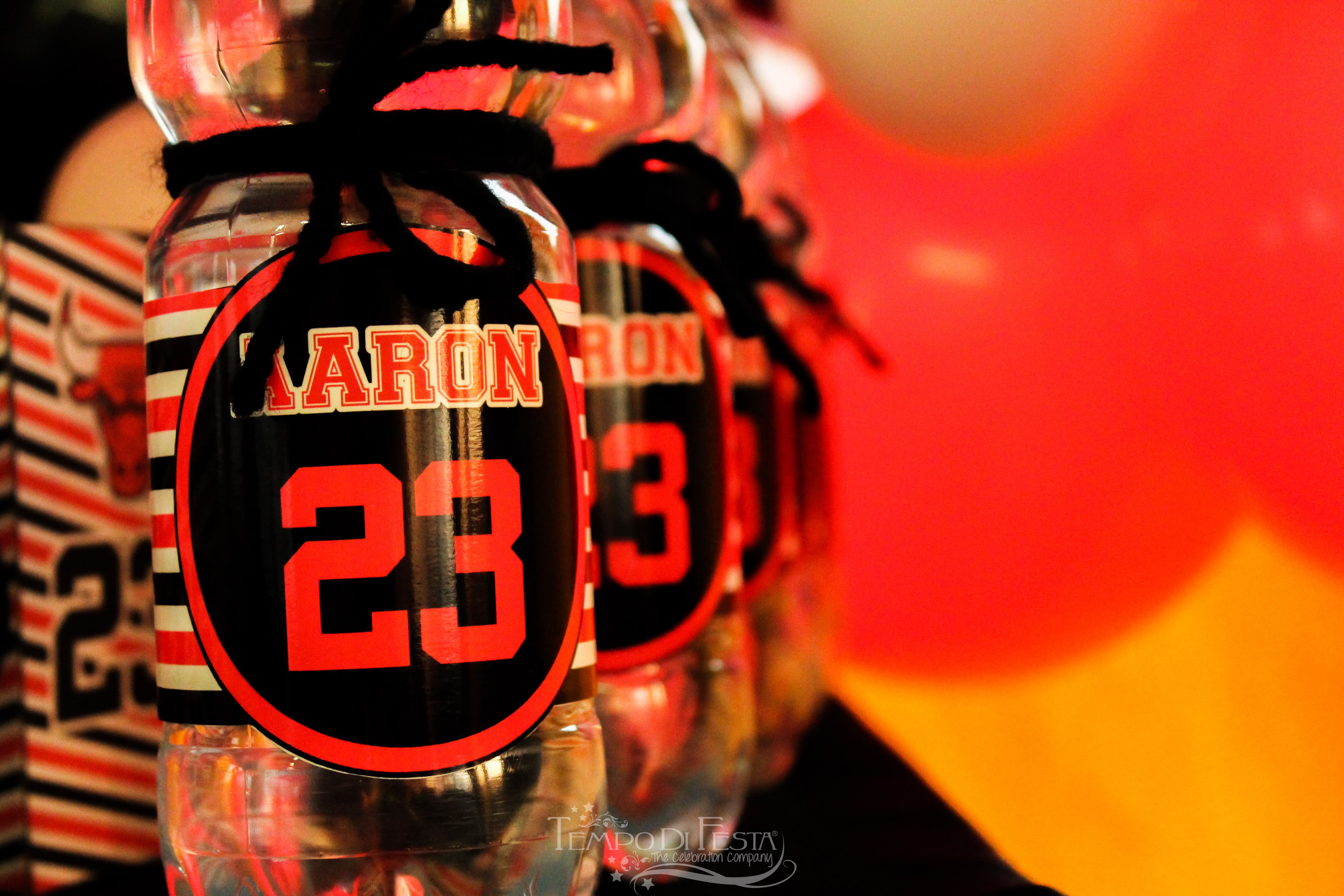 michel jordan party (1)