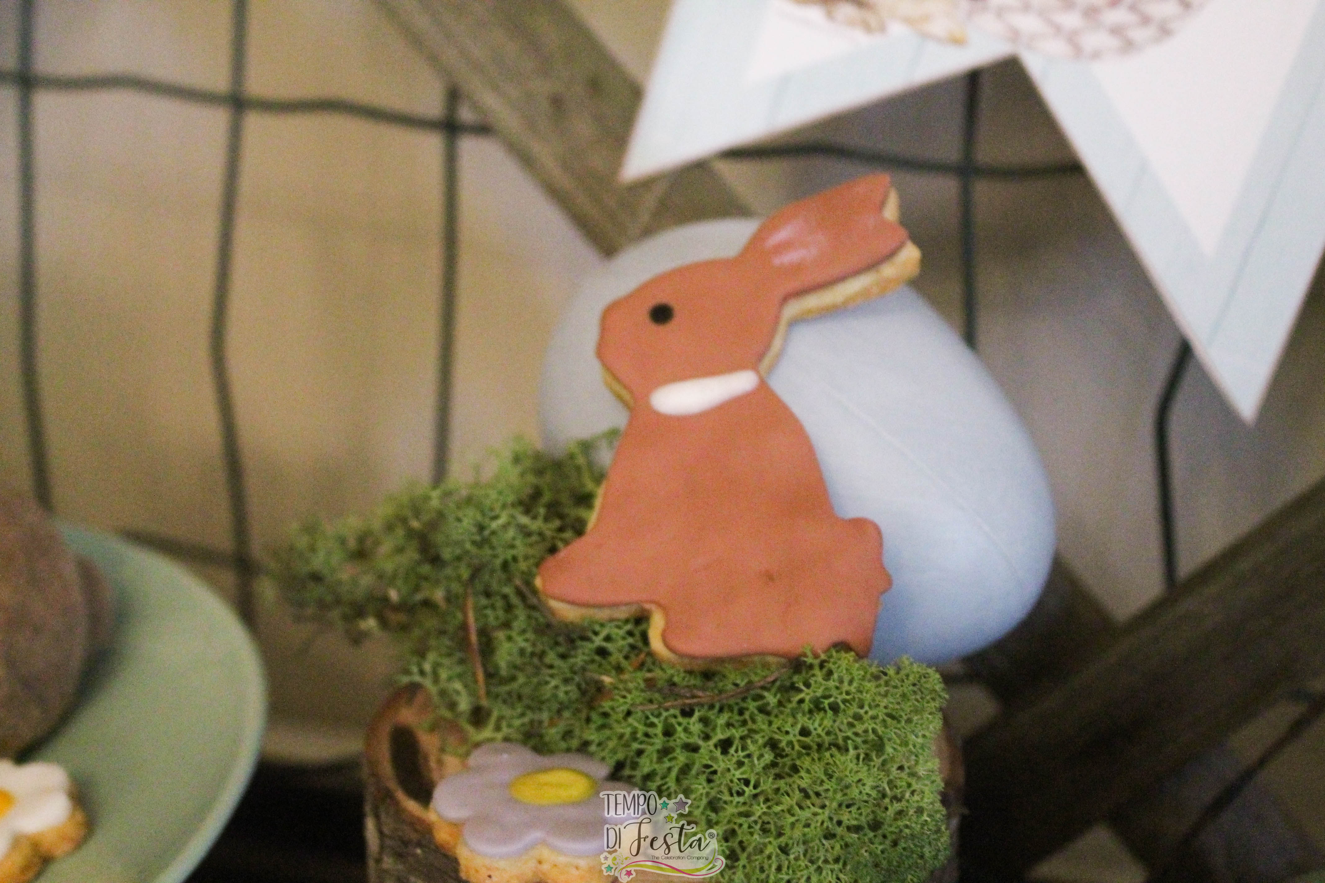 festa di pasqua coniglietto (14)