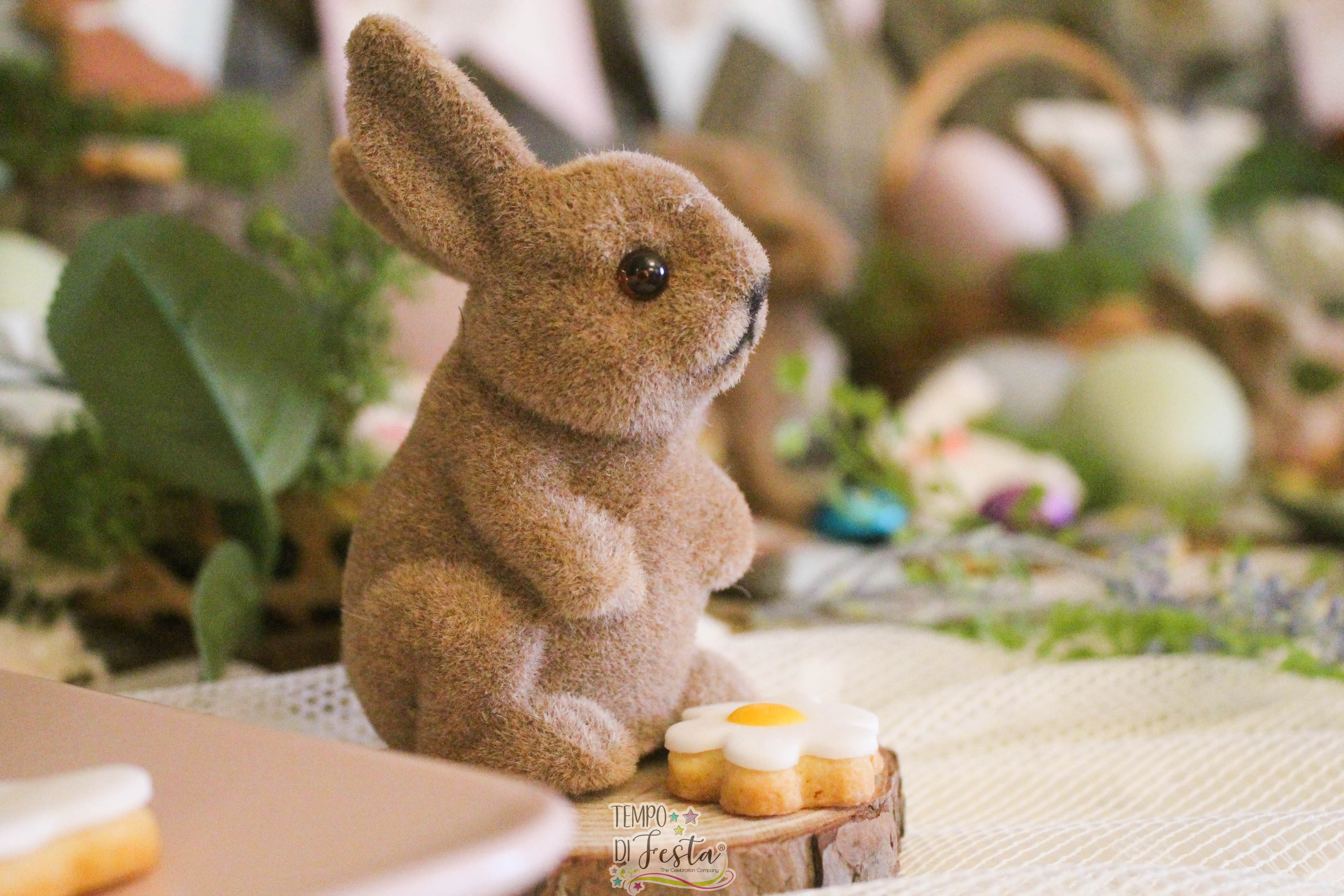 festa di pasqua coniglietto (15)