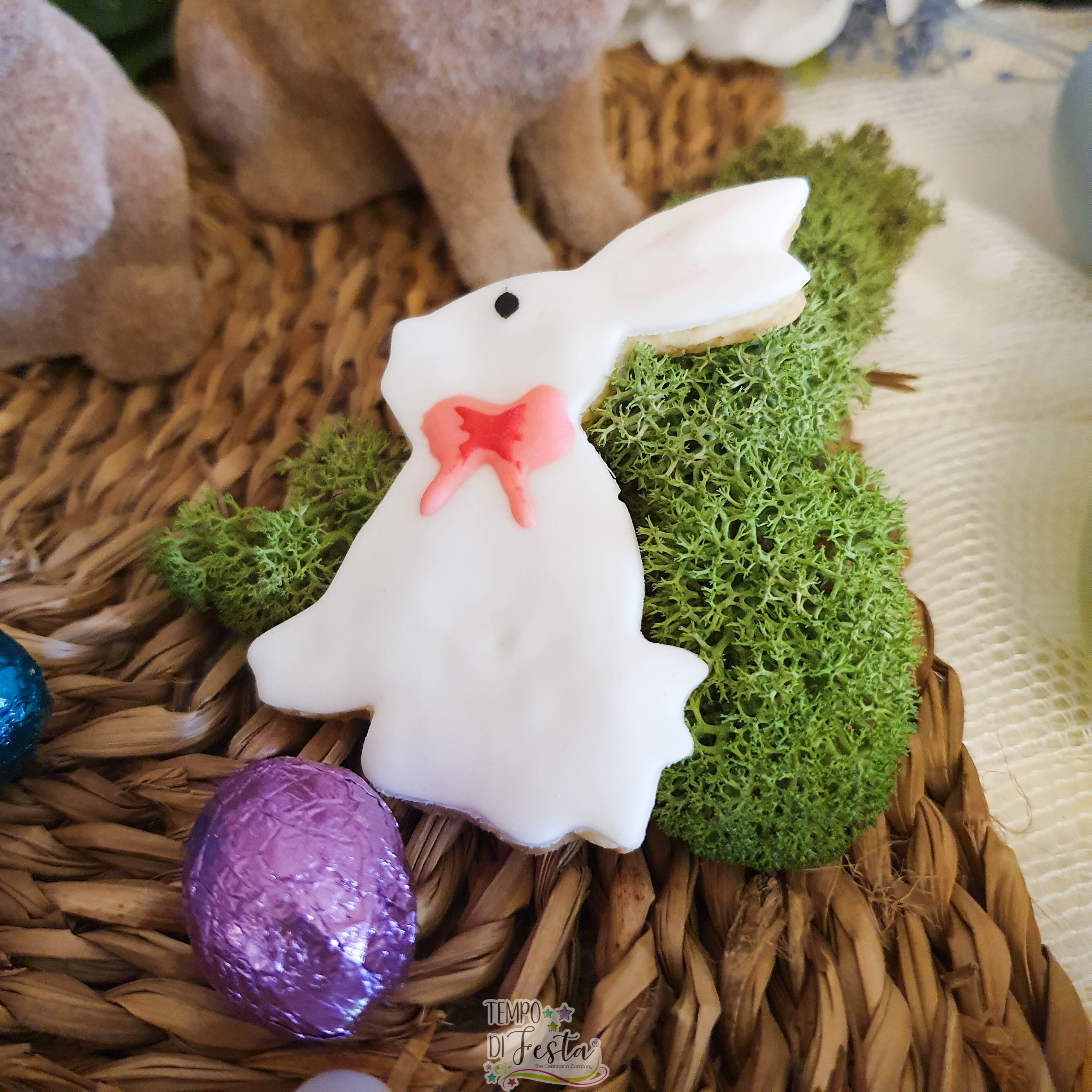 festa di pasqua coniglietto (5)