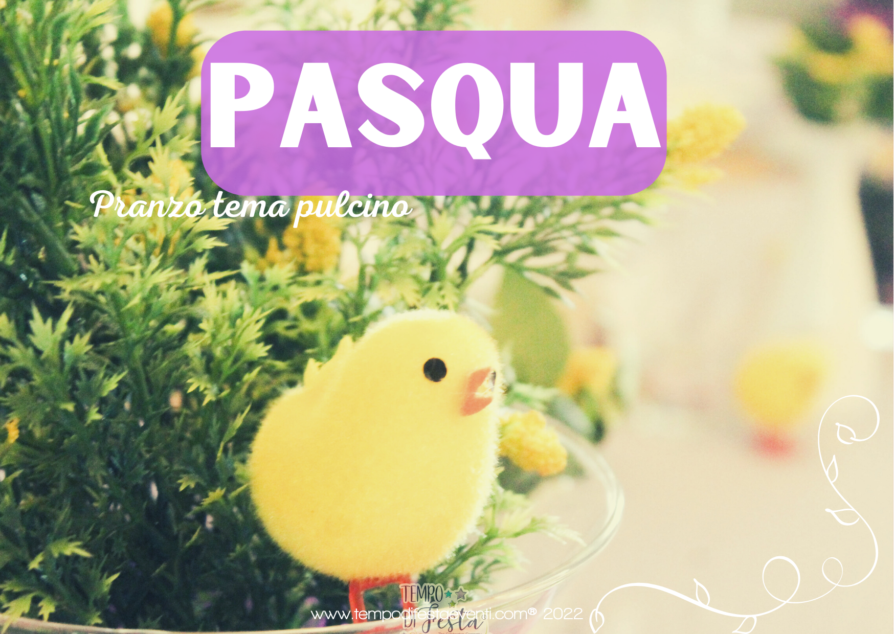 pasqua pillito 2022 corto