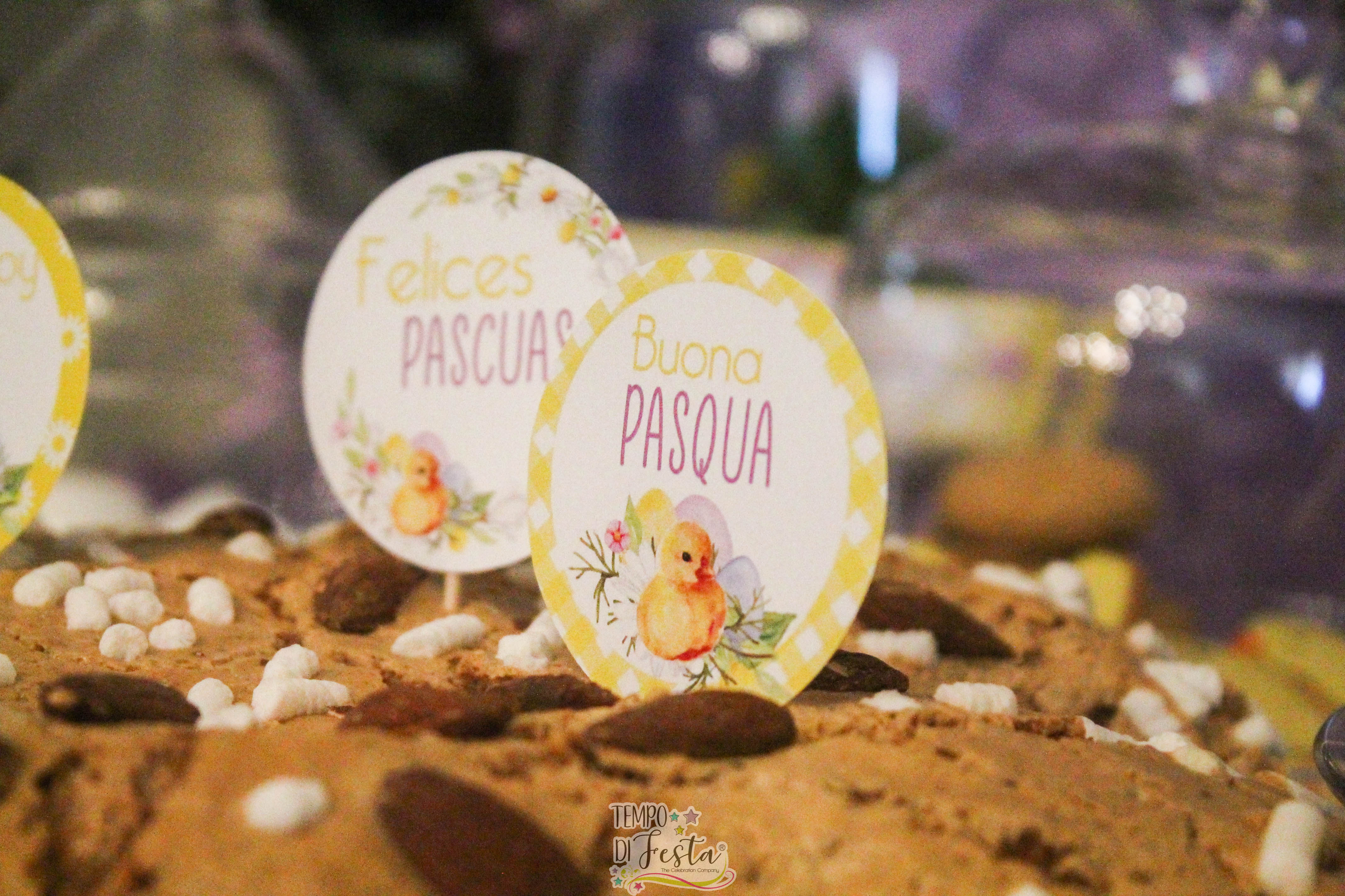 pranzo di pasqua pulcino (16)