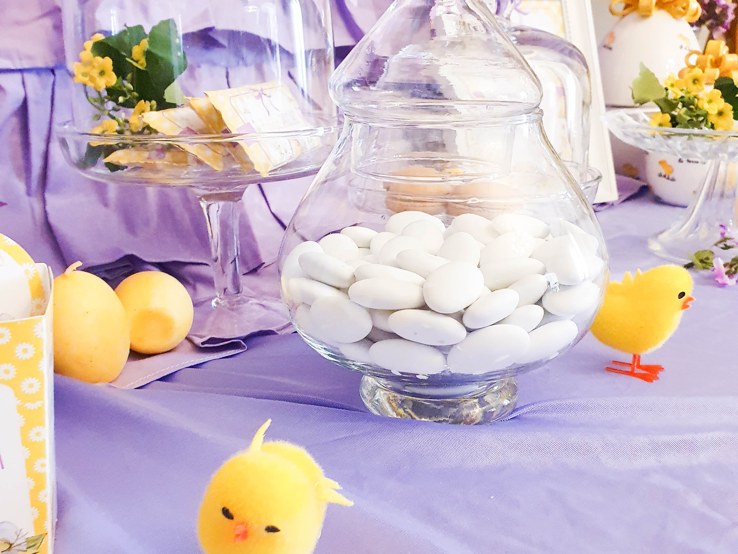 pranzo di pasqua pulcino (2)