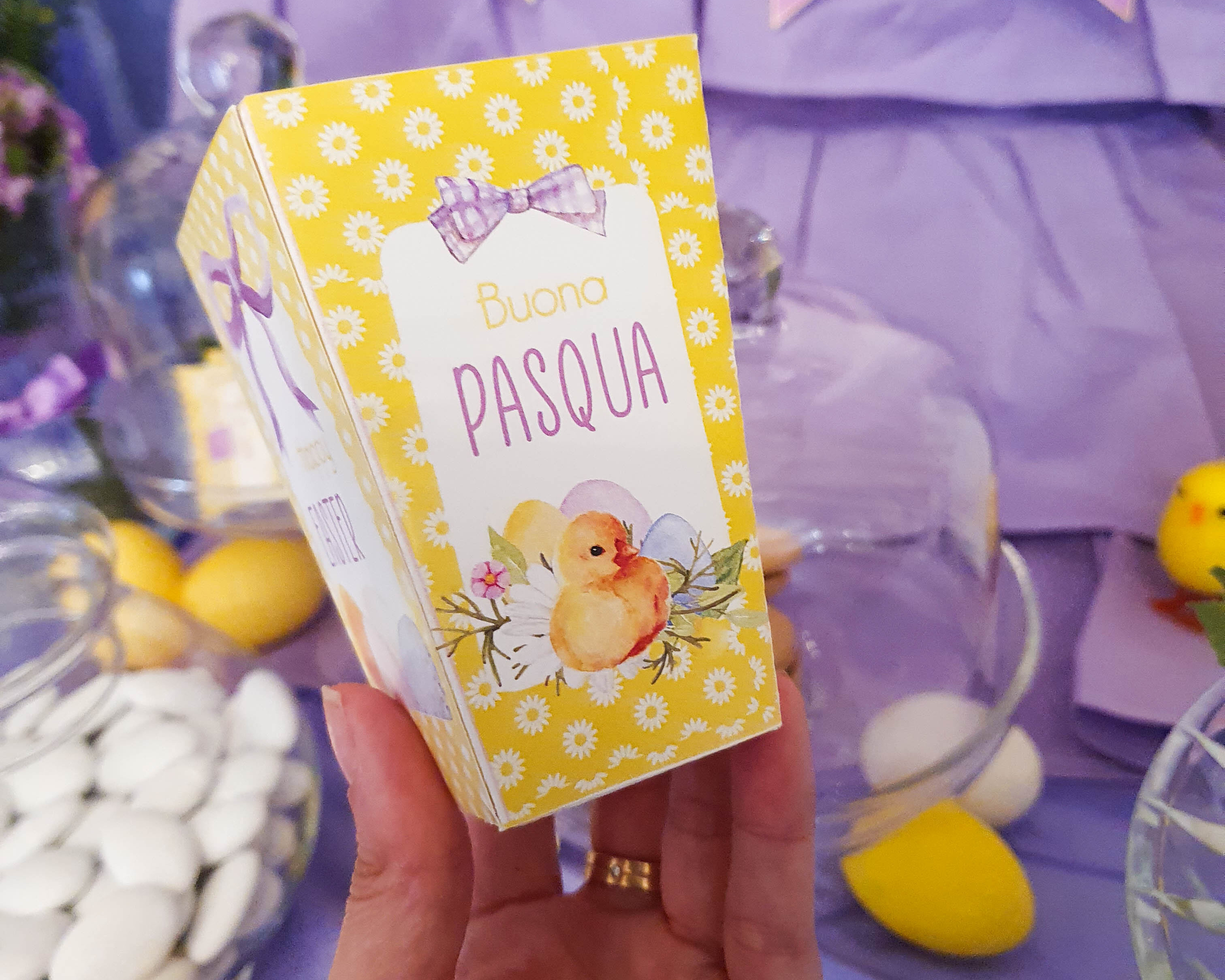 pranzo di pasqua pulcino (6)
