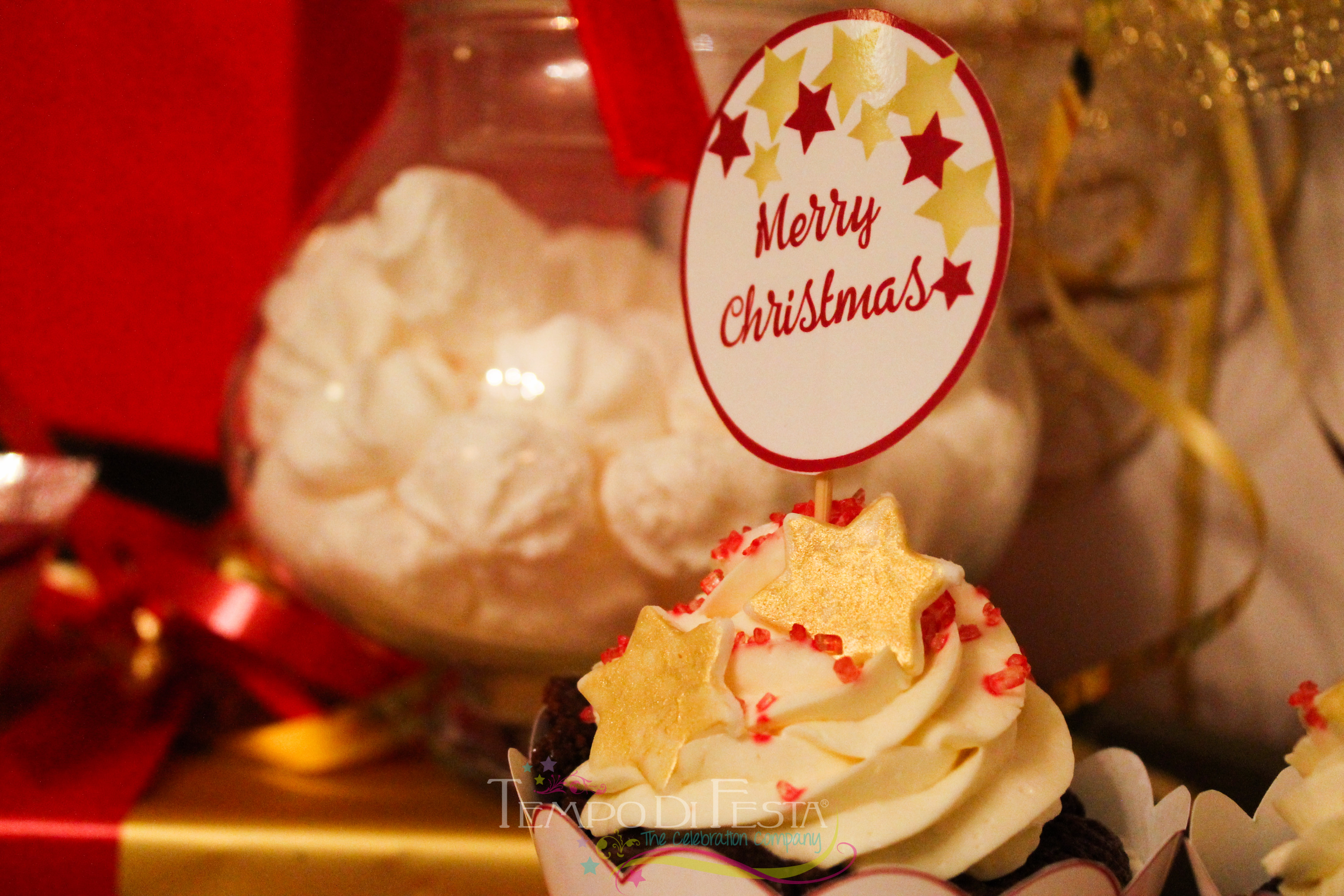 natale brillante (15)