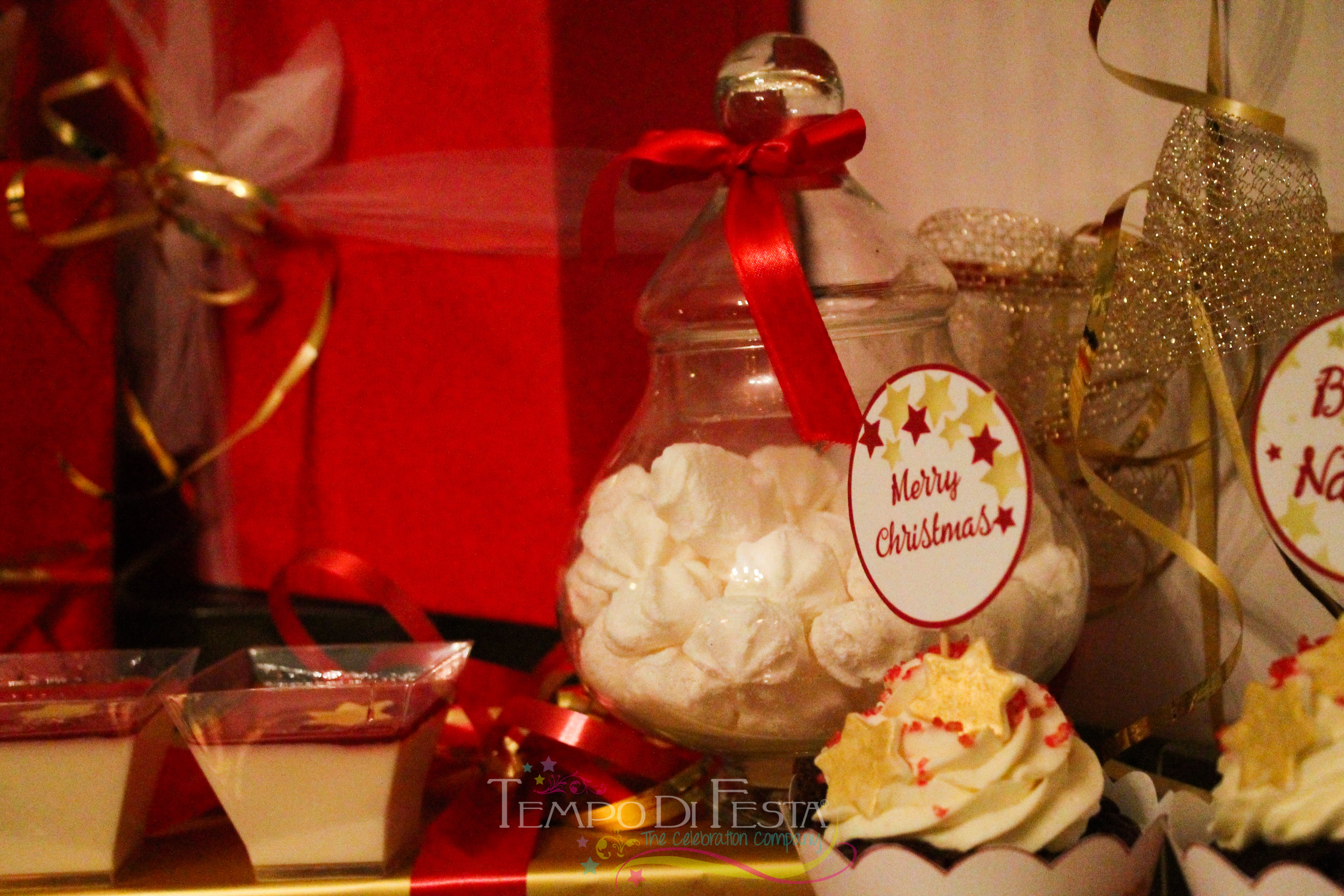 natale brillante (16)