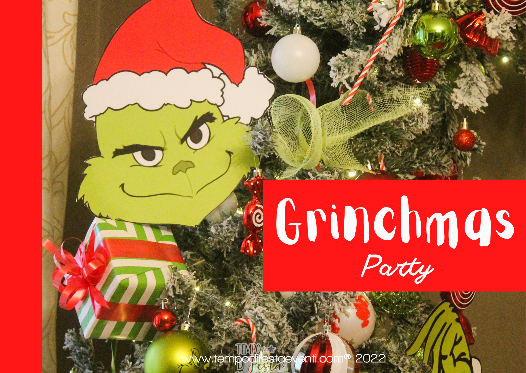 Grinch party corto