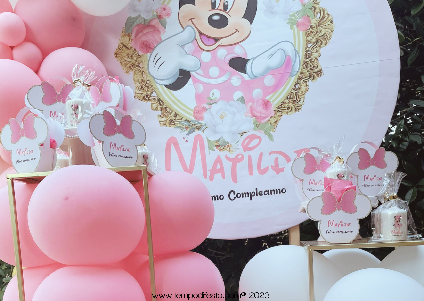 primo compleanno topolina (5)