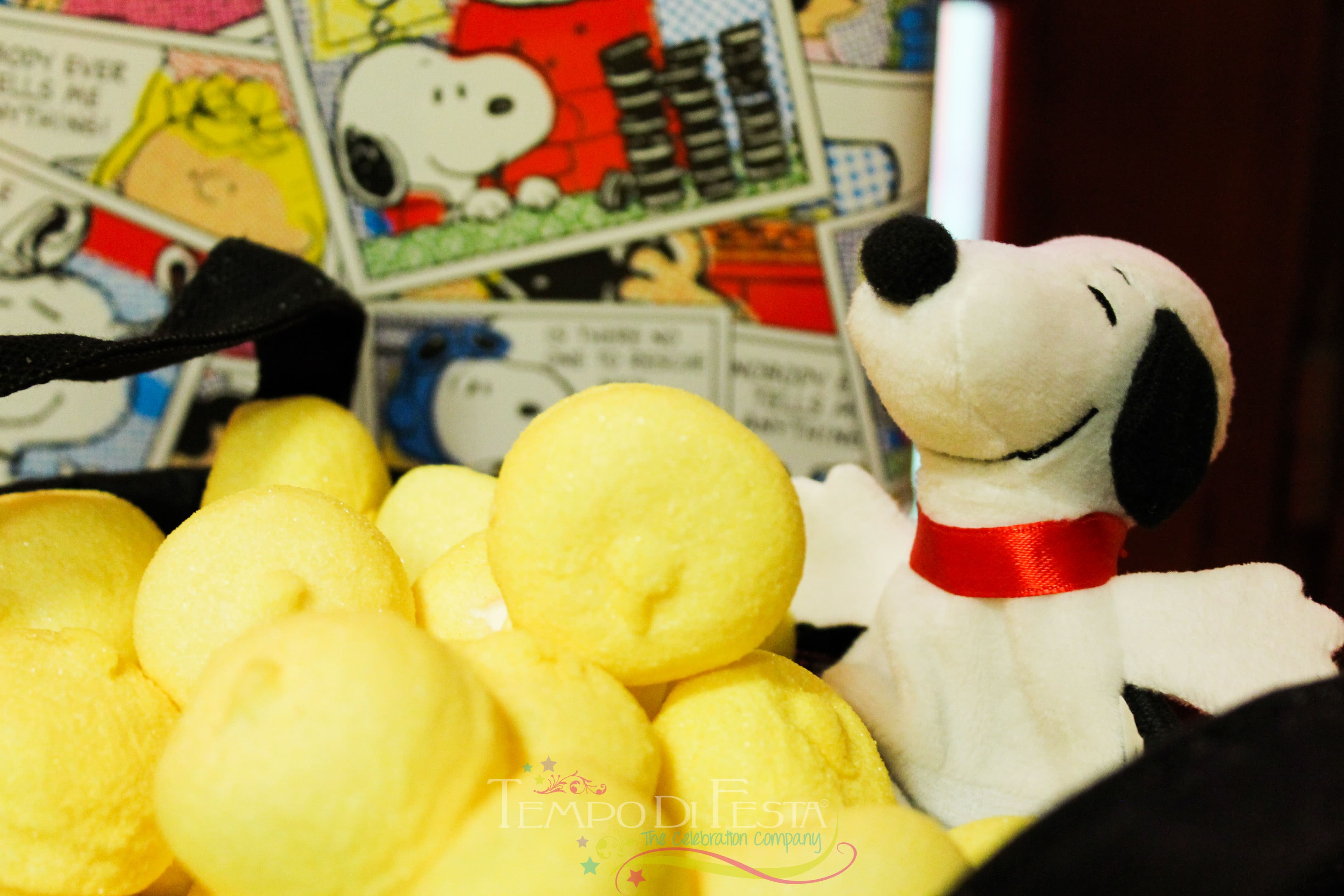 snoopy party (21)