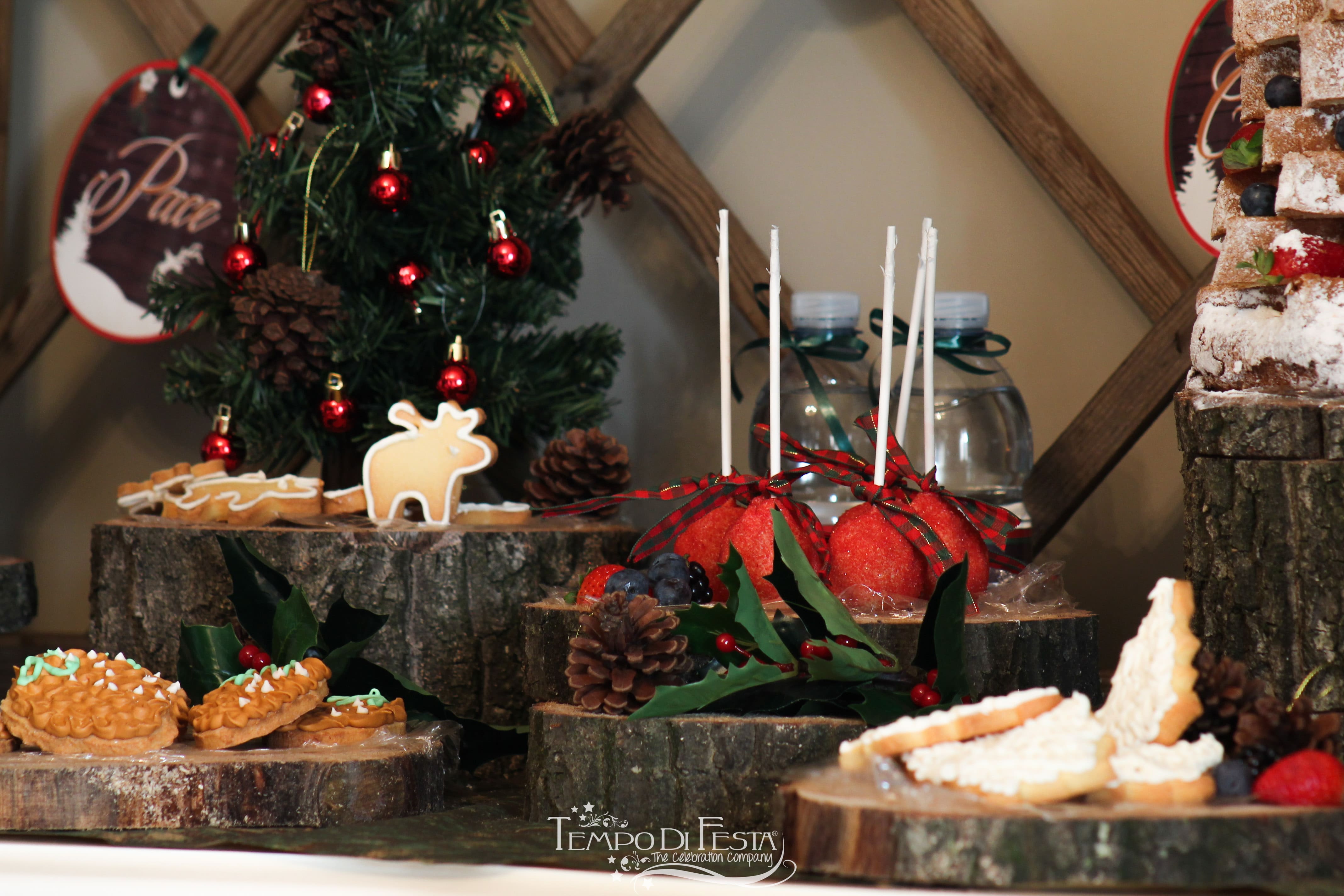 festa di natale a tema (8)