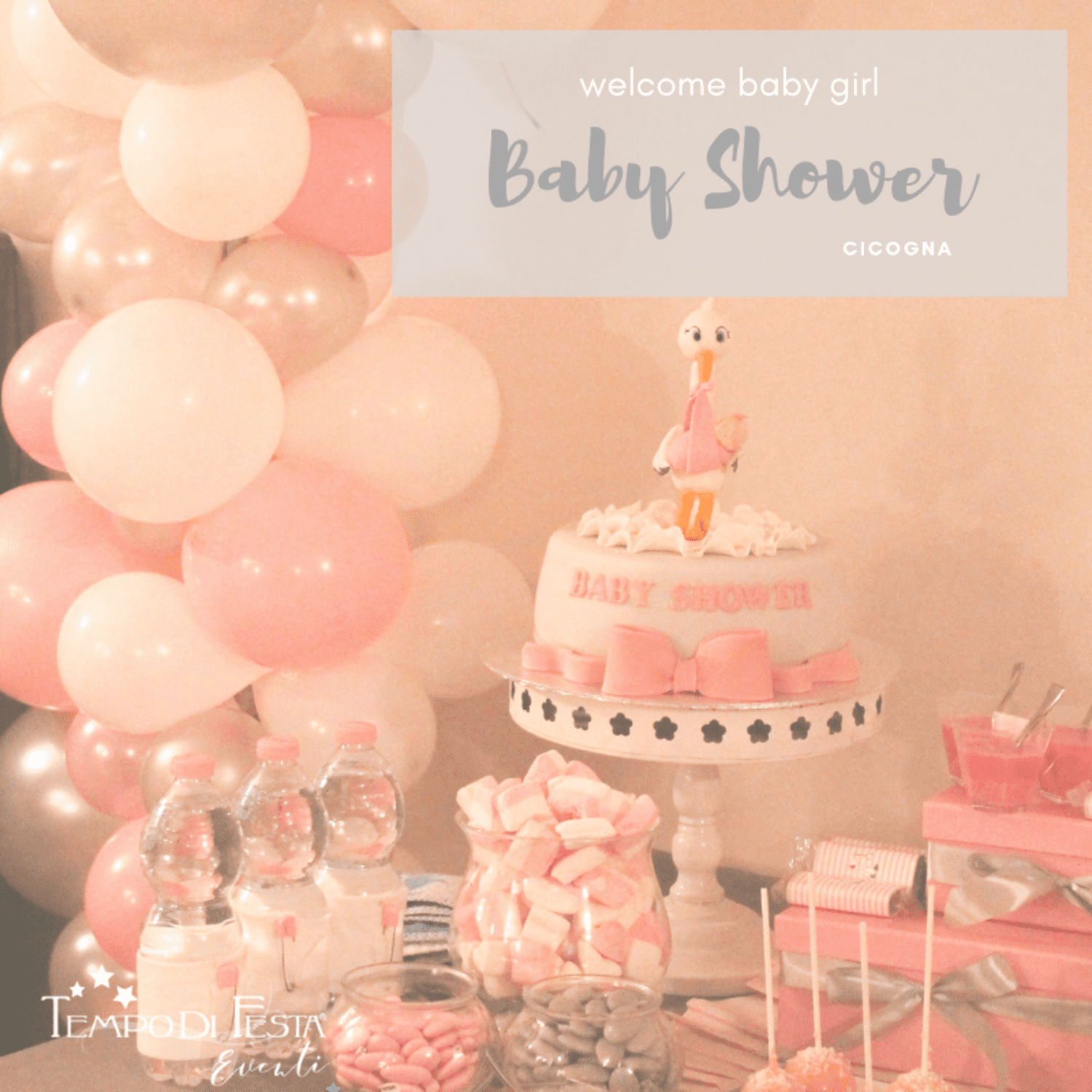 Baby-Shower-cicogna