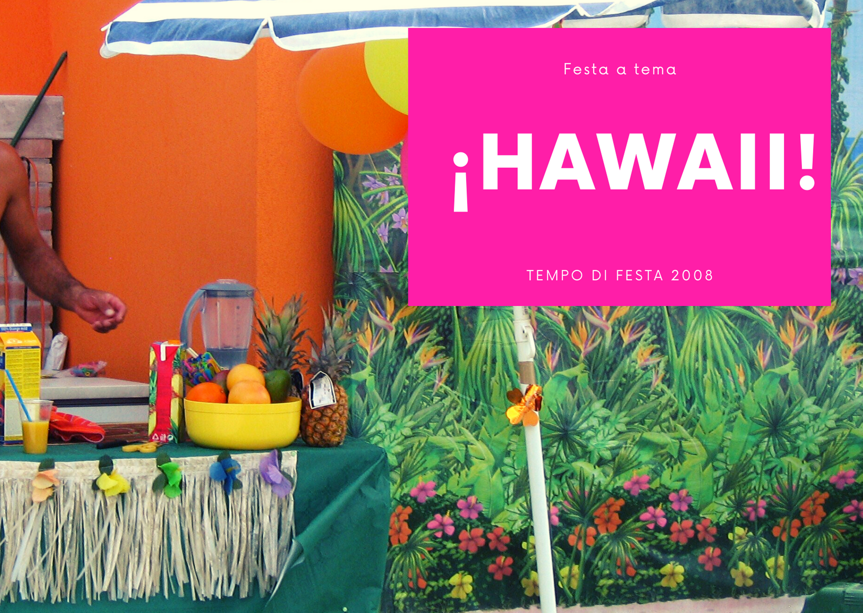 FESTA HAWAIANA 2008