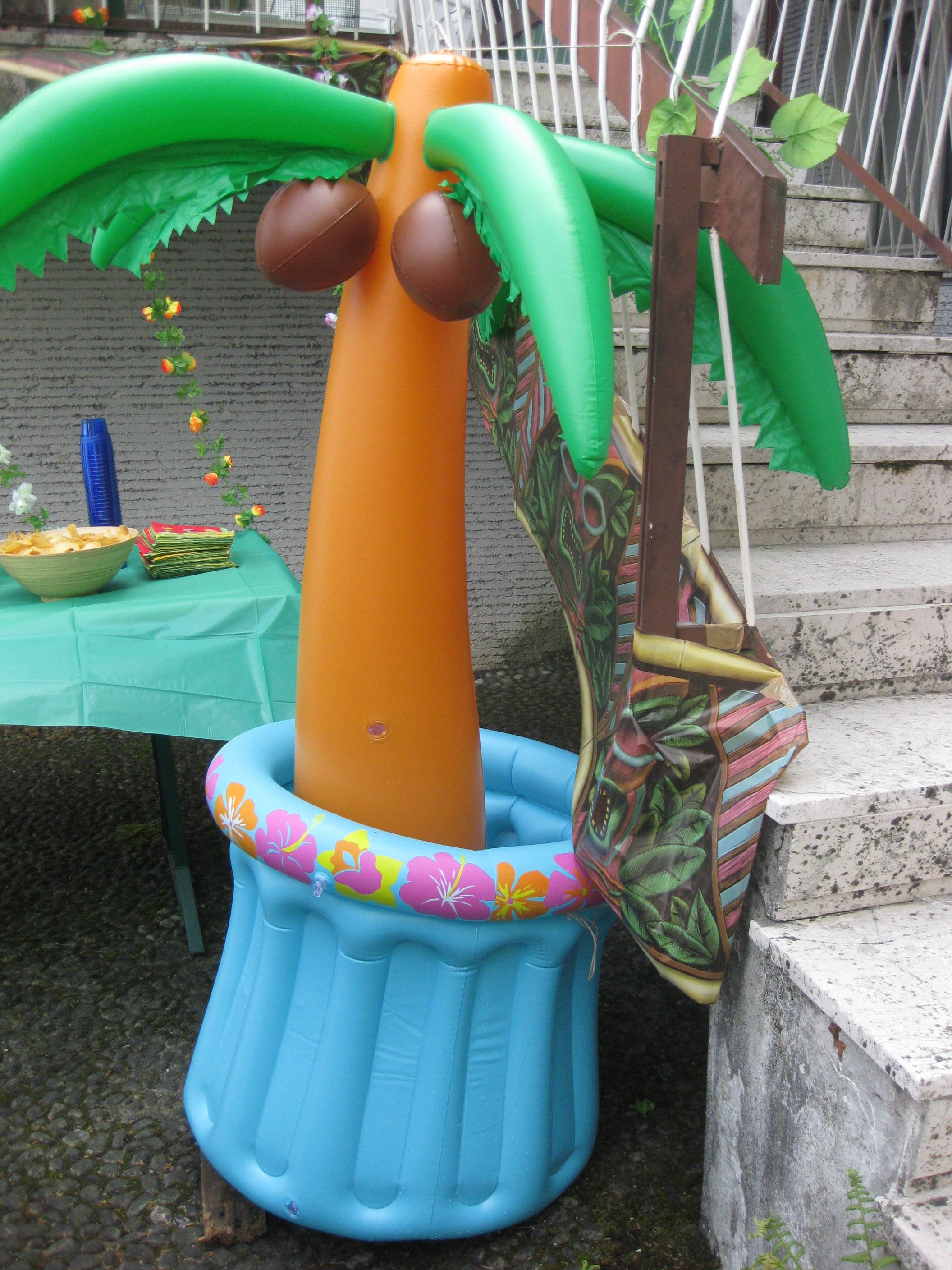 festa a tema hawaiana (1)