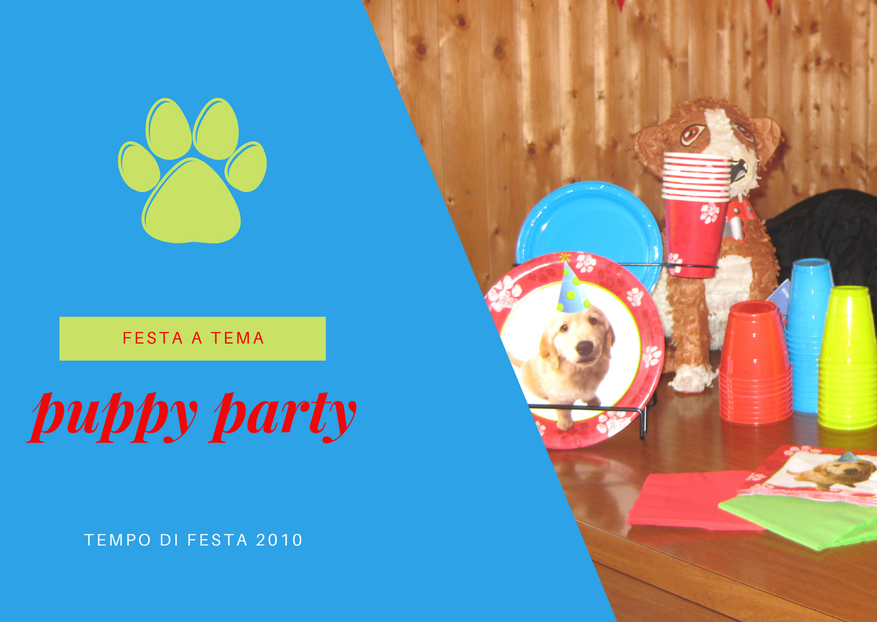 puppy party (1)