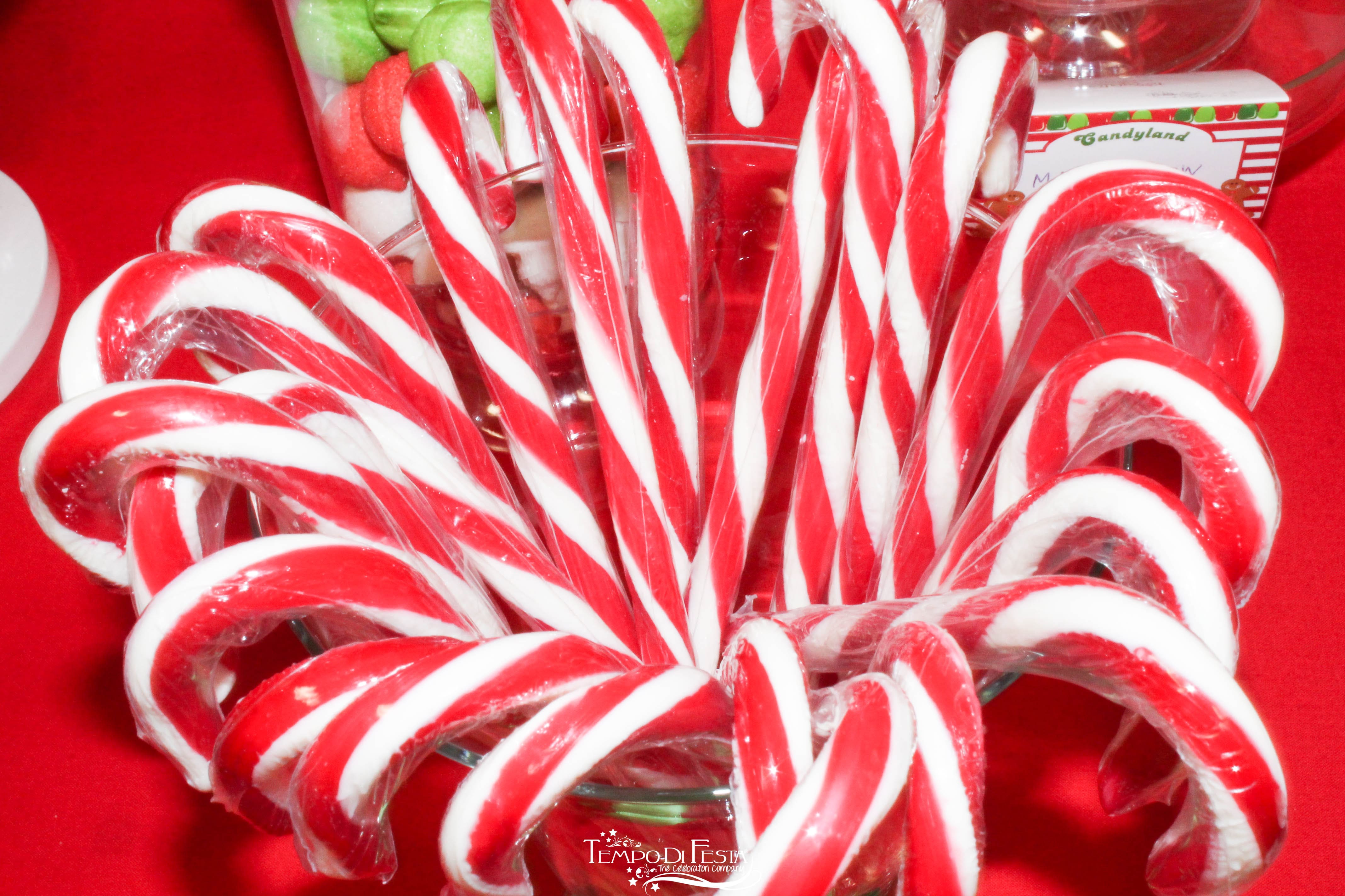 candyland natale (7)