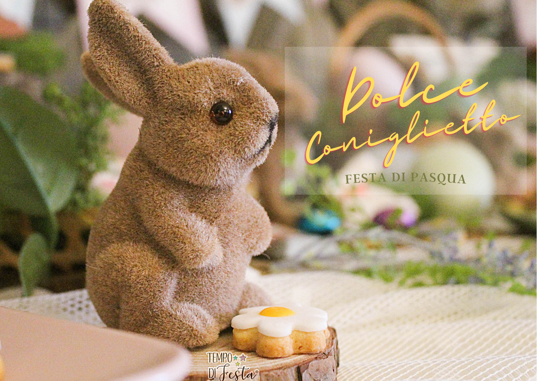 pasqua sweet bunny corto it