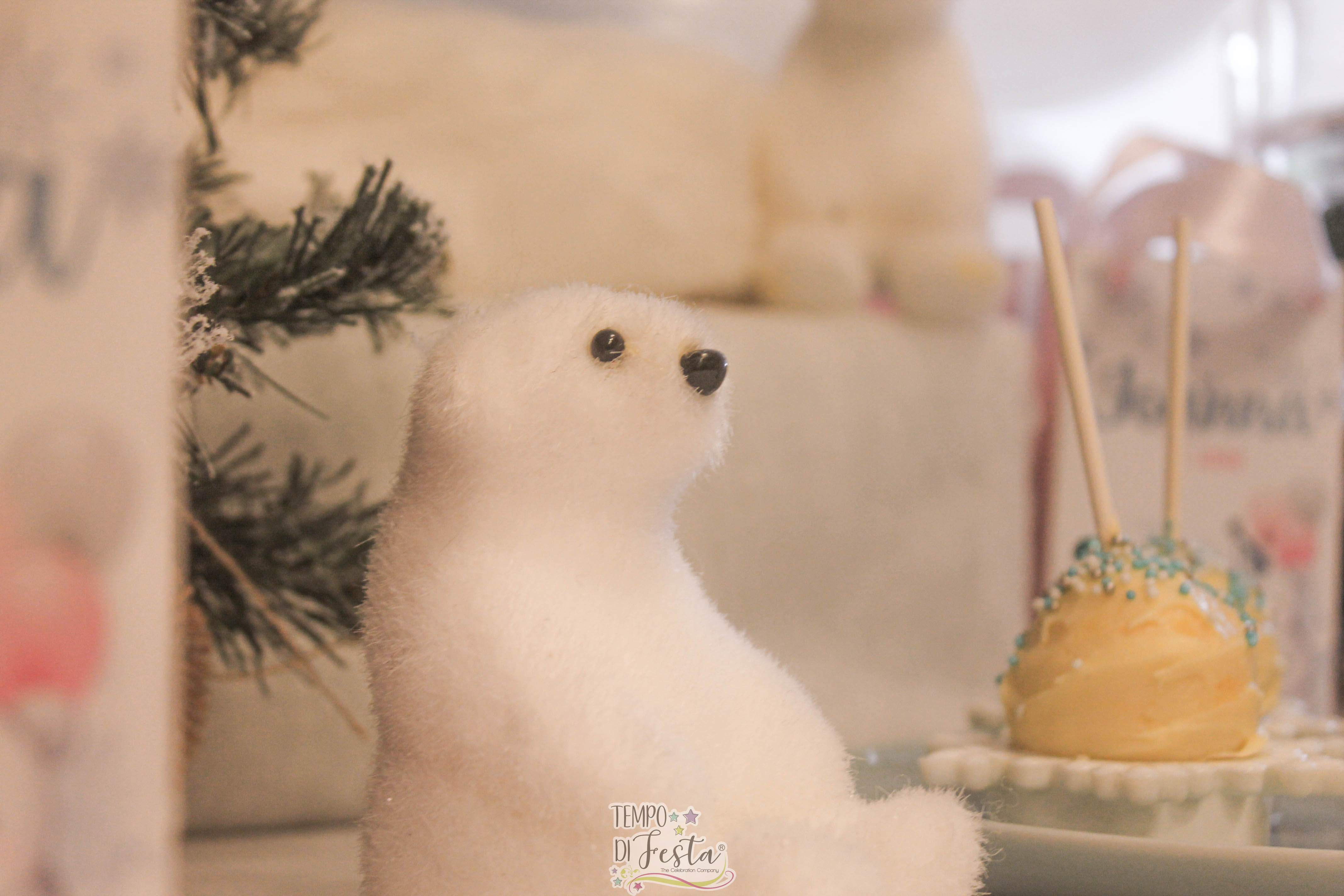 festa a tema orso polare (10)